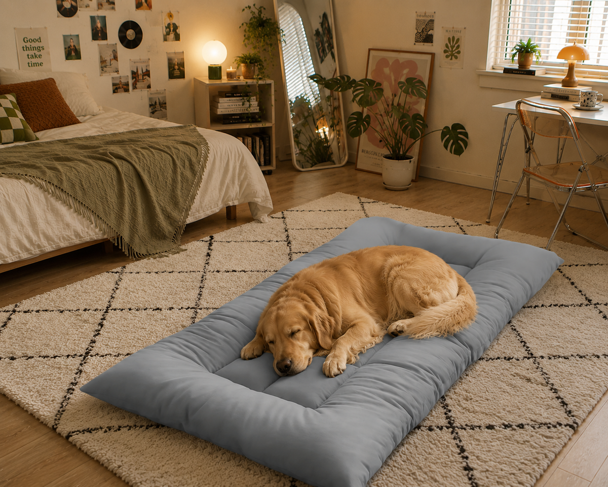 Pet Projects